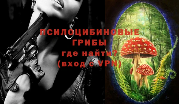 соль ск Аркадак