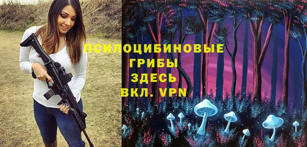 соль ск Аркадак